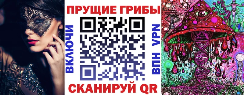 цены   kraken как войти  Псилоцибиновые грибы Cubensis  Чехов 